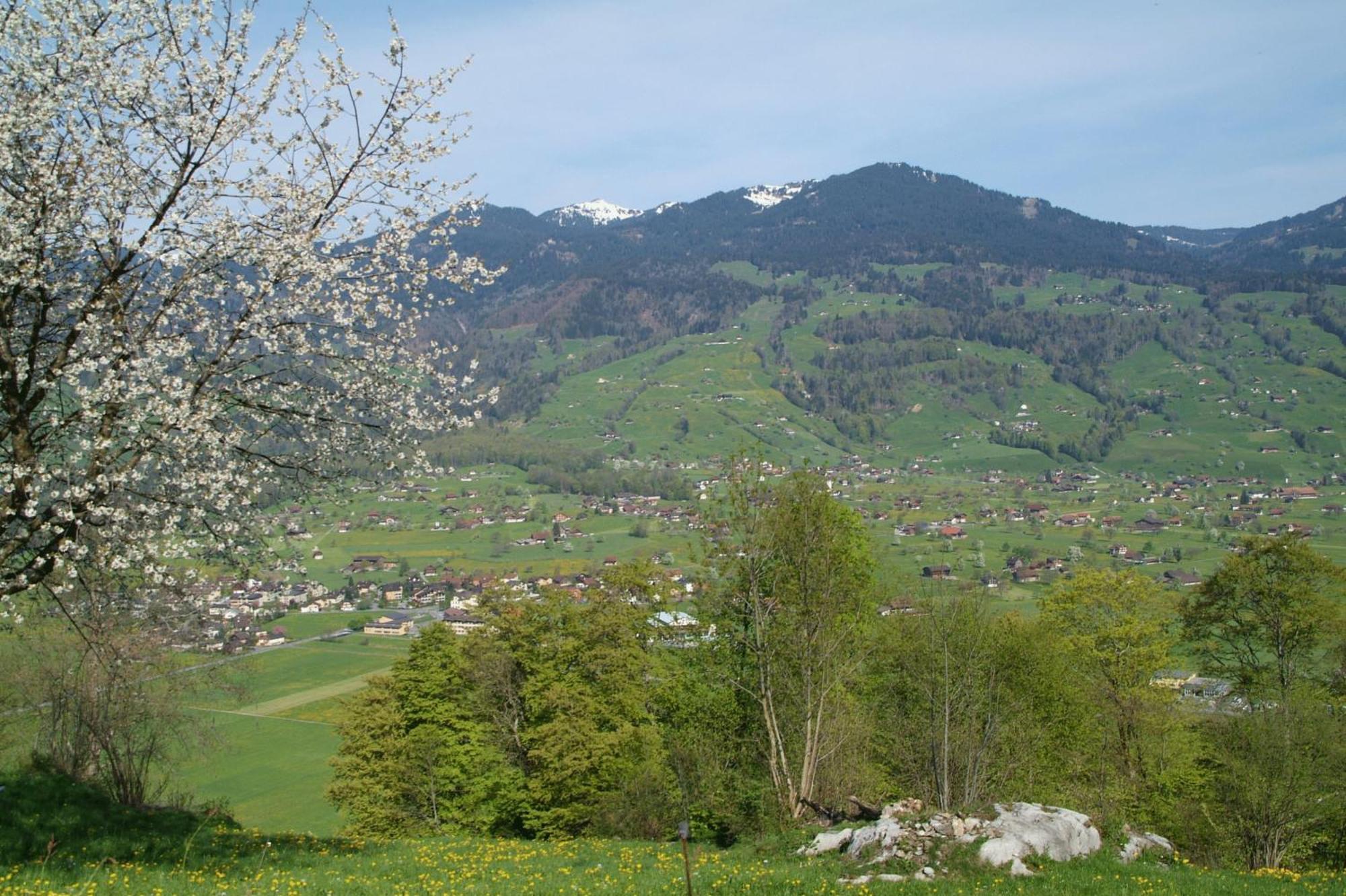 Landgasthof Grossteil غيسويل المظهر الخارجي الصورة