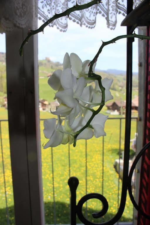 Landgasthof Grossteil غيسويل المظهر الخارجي الصورة